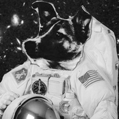 Last Days of Summer - Single