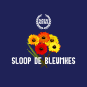 Sloop De Bleumkes