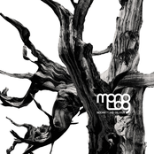 Indemnity and oblivion