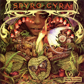 Spyro Gyra: Morning Dance