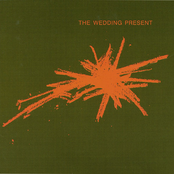 Crushed by The Wedding Present