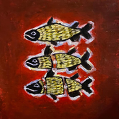 David Lynch Fish Kit