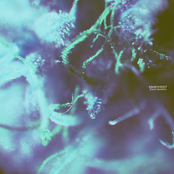 Flesh Tendrils