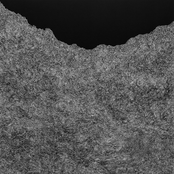 Evelyn Frances: Human Patience