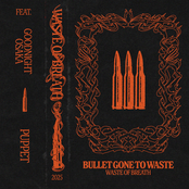 Bullet Gone To Waste