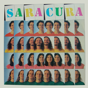 Saracura