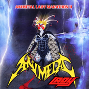 アニメタル・レディー・マラソンII