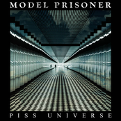 PISS UNIVERSE