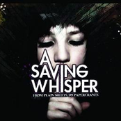 From Plain Sheet To Papercranes