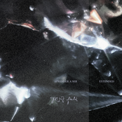 Mint Field: Aprender a Ser: Extended