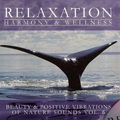 Beauty & Positive Vibrations Of Nature Sounds Vol. 6