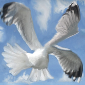 These Cars Do Not Exist