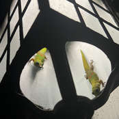 ITS REALLY YOU ON MY MIND