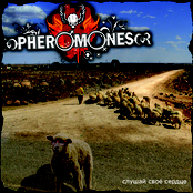 Слушай своё сердце (SINGLE)