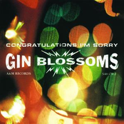 Competition Smile by Gin Blossoms