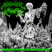 Matriarchal Domination Through Androcide