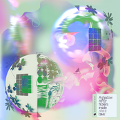 A Shadow Softly Flickers Inside Plato's Cave