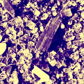 0101001 1101001 11011101 101 10101 1011101001 011001