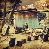 Lost Generation by Young Chinese Dogs