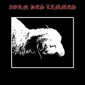 Zorn Des Lammes I