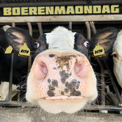 Boerenmaondag