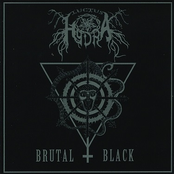 Brutal Black