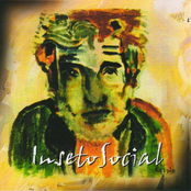 Inseto Social