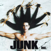 Junk Inc.