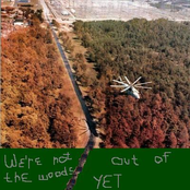 We're Not Out Of The Woods Yet