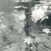 Paper Boats Shooting Rapids