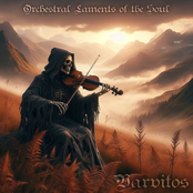 Orchestral Laments Of The Soul