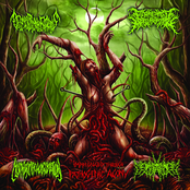 Impregnated Through Pathogenic Agony