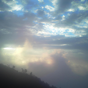 Tranquil Symphony to Ease the Soul