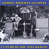 Sweet Sweet Bulbs by George Brigman And Split