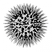 [brq034] Biomes remixes