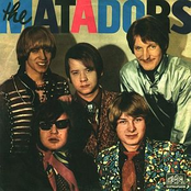 I Want To See You by The Matadors