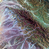Flaw Of The Land