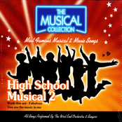 High School Musical 2 (The Musical Collection)