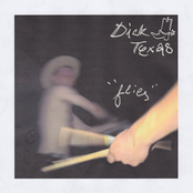 Dick Texas: Flies
