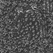 primary data resources for human enhancement through the pleasures of self-mutating flesh and steel hybridation process