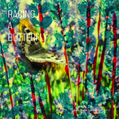 Racing a Butterfly