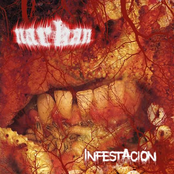 Infestación