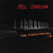 Pure Fucking Experiment