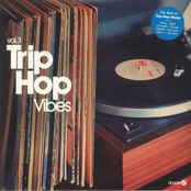 Trip-Hop Vibes, Vol.3