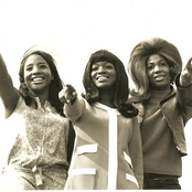 the flirtations