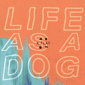 K. Flay: Life as a Dog