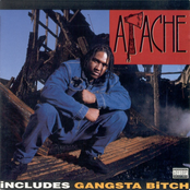 Gangsta Bitch by Apache