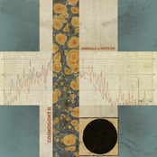 Cosmogony II