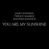 Jamey Johnson: You Are My Sunshine