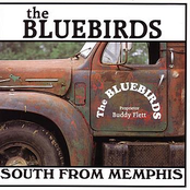 Second Hand Love by The Bluebirds